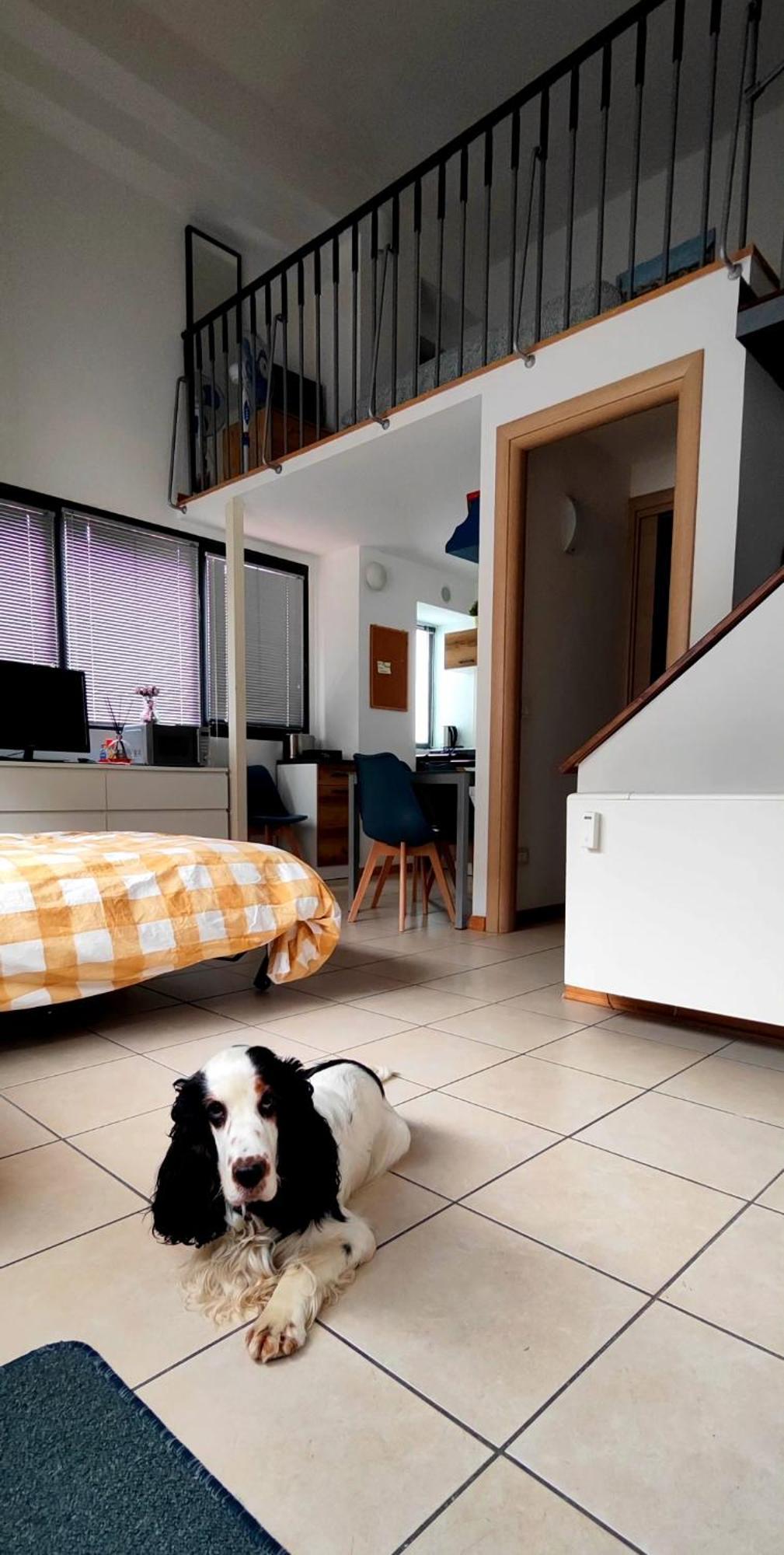 Gemme Fiorentine In Front Of The Train Station 5 Minutes From The Centre Free Parking * Florenz